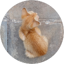 Tripti Nair profile picture